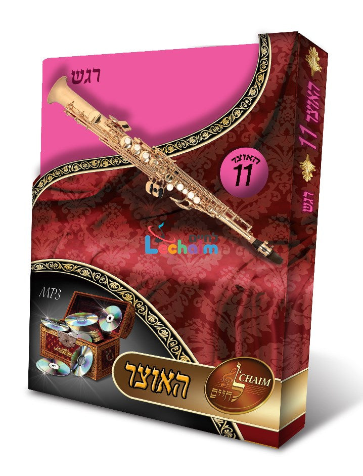 HaOtzar 11 Regesh <br> האוצר 11 רגש