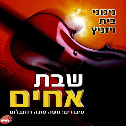 Sheves Achim<br>שבת אחים
