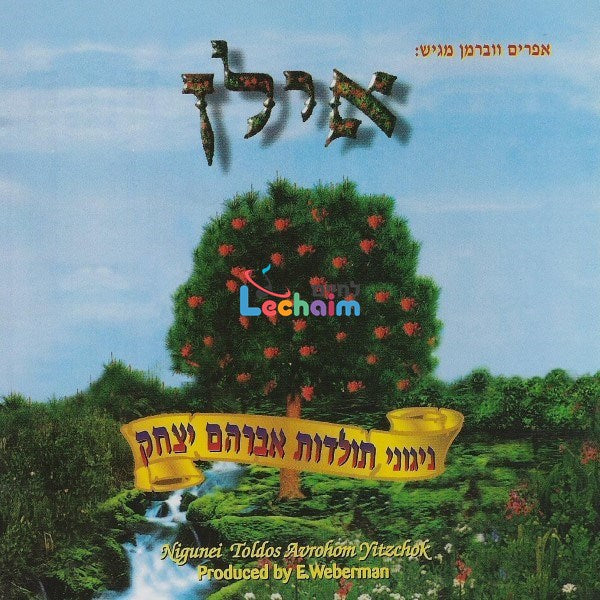 Ilan <br> אילן