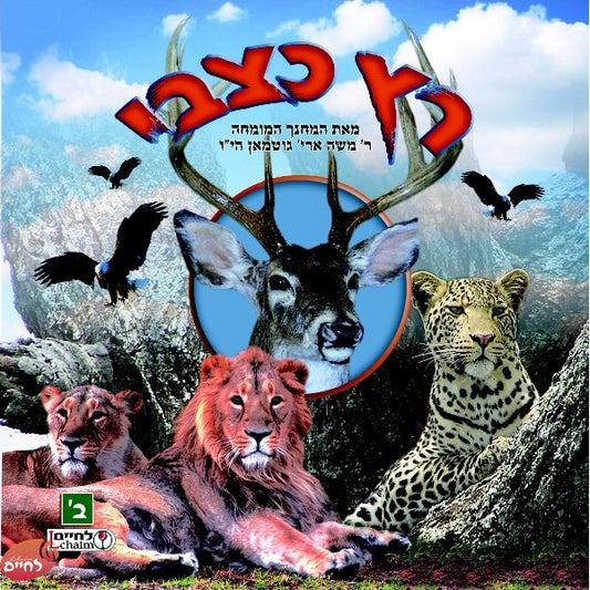 Ratz Katzvi 2 <br> רץ כצבי 2