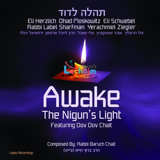 Awake The Nigun's Light <br> תהלה לדוד