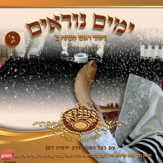 Yomim Noraim In Belz - Rosh Hashanah 2 <br>ימים נוראים בבעלזא - ר''ה 2