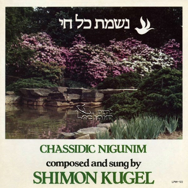 Chassidic Nigunim <br> נשמת כל חי